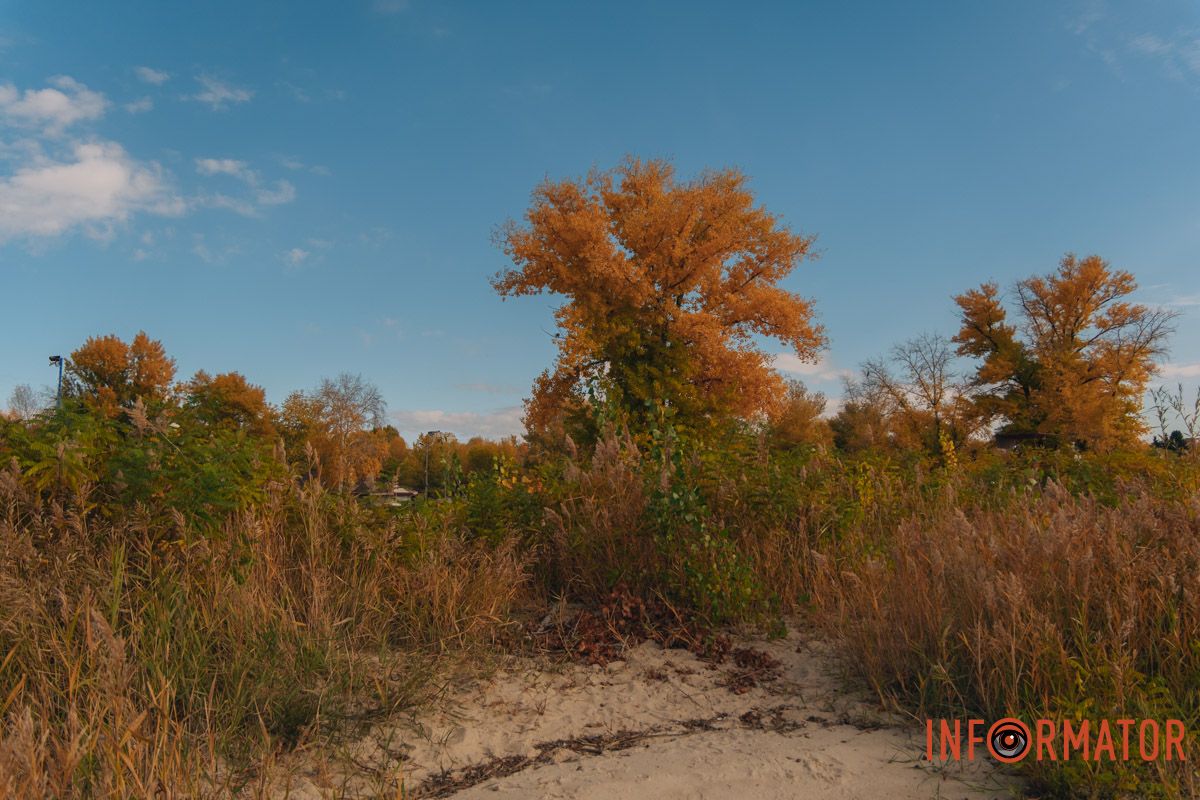 Каждый листок — как легкое прощание с летом