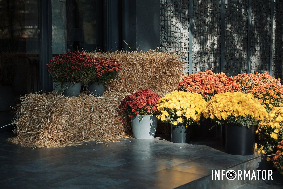 Мистика на улицах Днепра: где в Днепре найти новые тематические локации 4