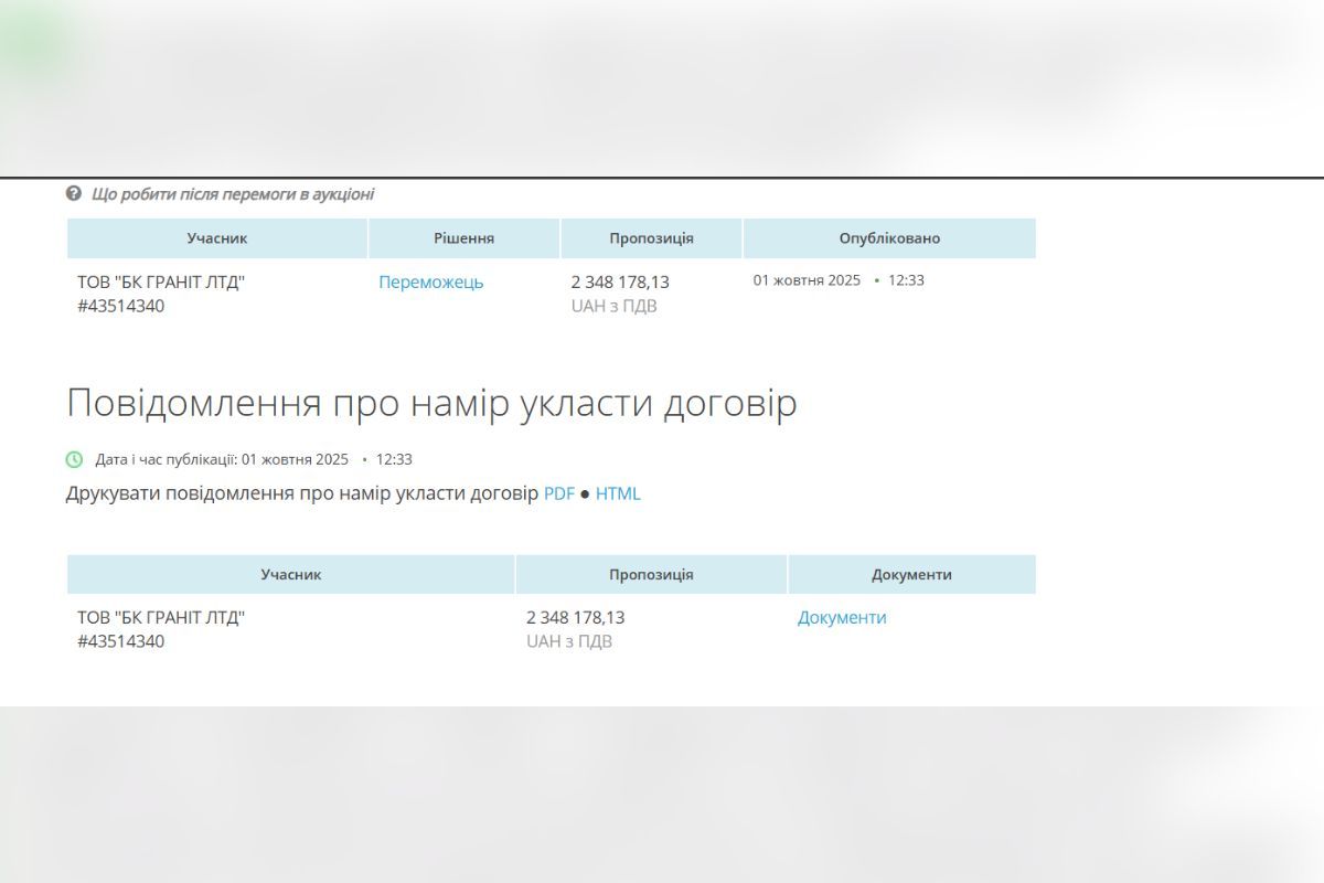 Единственный участник и победитель торгов Единственный участник и победитель торгов