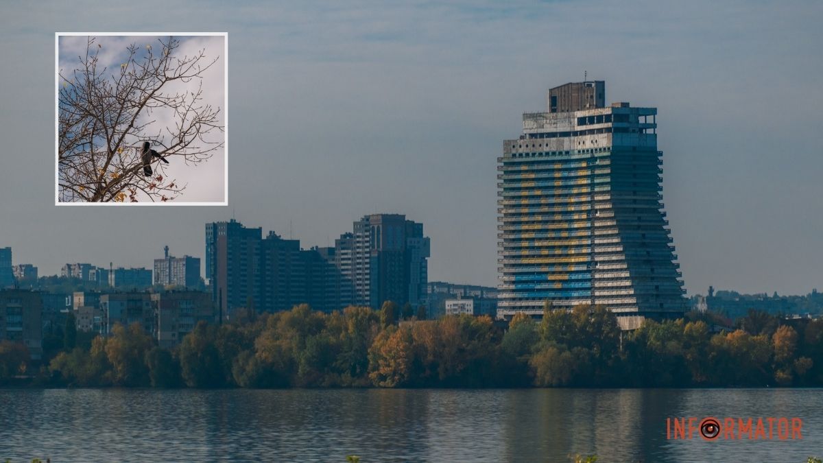 Погода на 26 жовтня: у Дніпрі небо затягнуть хмари