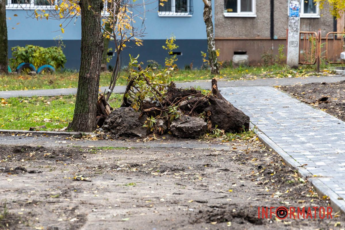 Поруч із популярним дитячим майданчиком з’явиться новий міні-парк