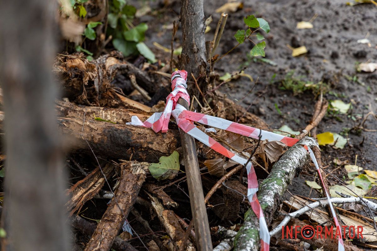 За словами депутата Дніпровської міської ради Сергія Пустового, тут зроблять планування ділянки, встановлять бордюри, облаштують систему поливу