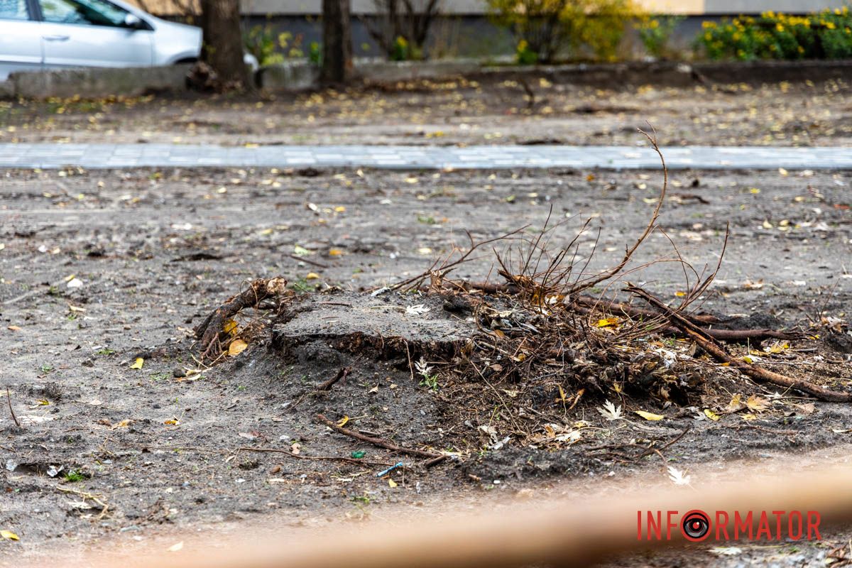 Підготовчі роботи