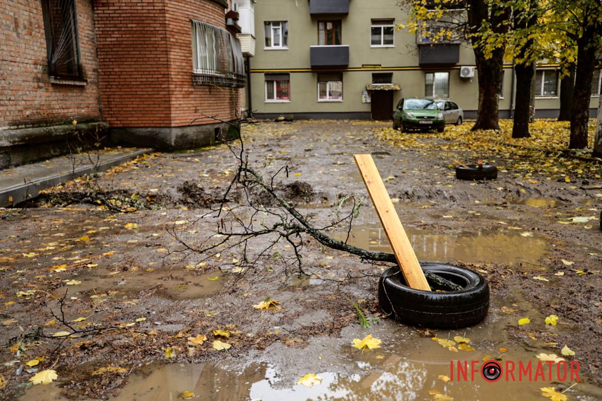 Фото: Максим Якушев Фото: Максим Якушев