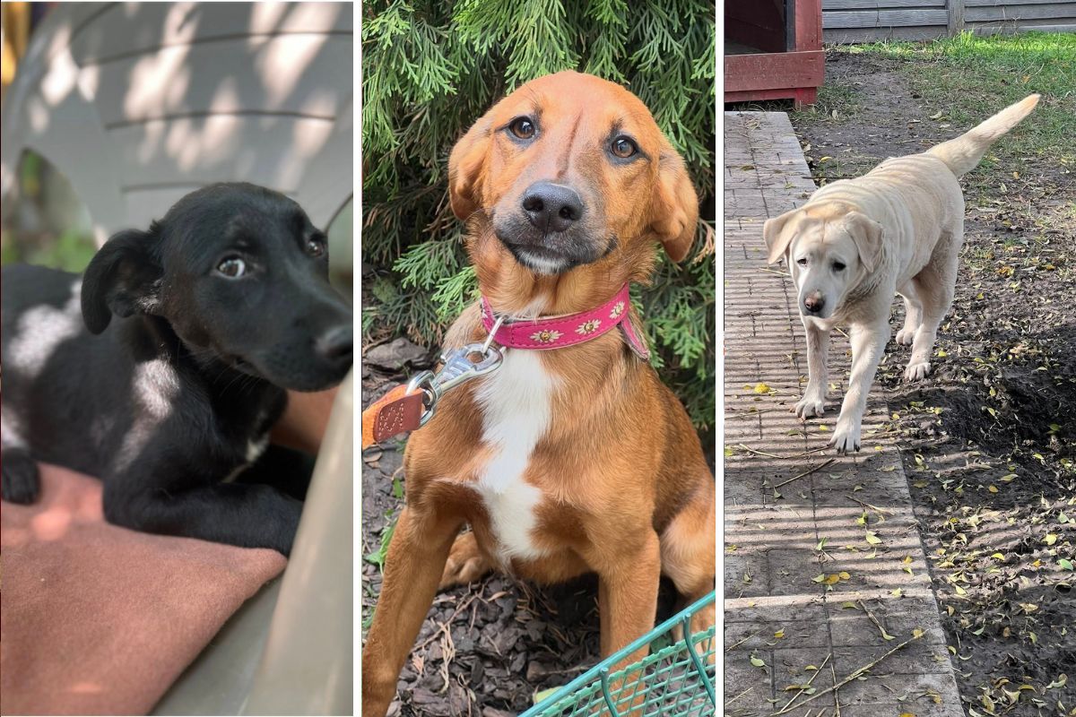 Тільке погляньте в ці оченята