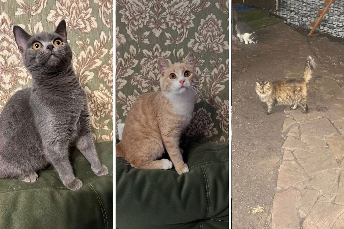 Мініпритулок "Промінчик надії"