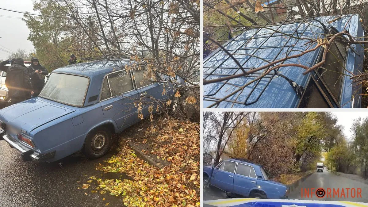 У Дніпрі на Вітчизняній нетверезий водій без прав на ВАЗ в’їхав у дерево