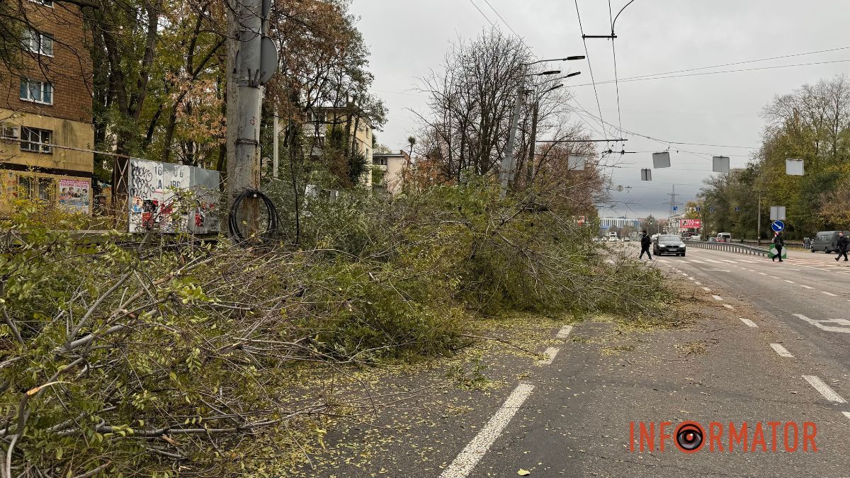 У Дніпрі на Запорізькому шосе гілки дерева заважали проїзду