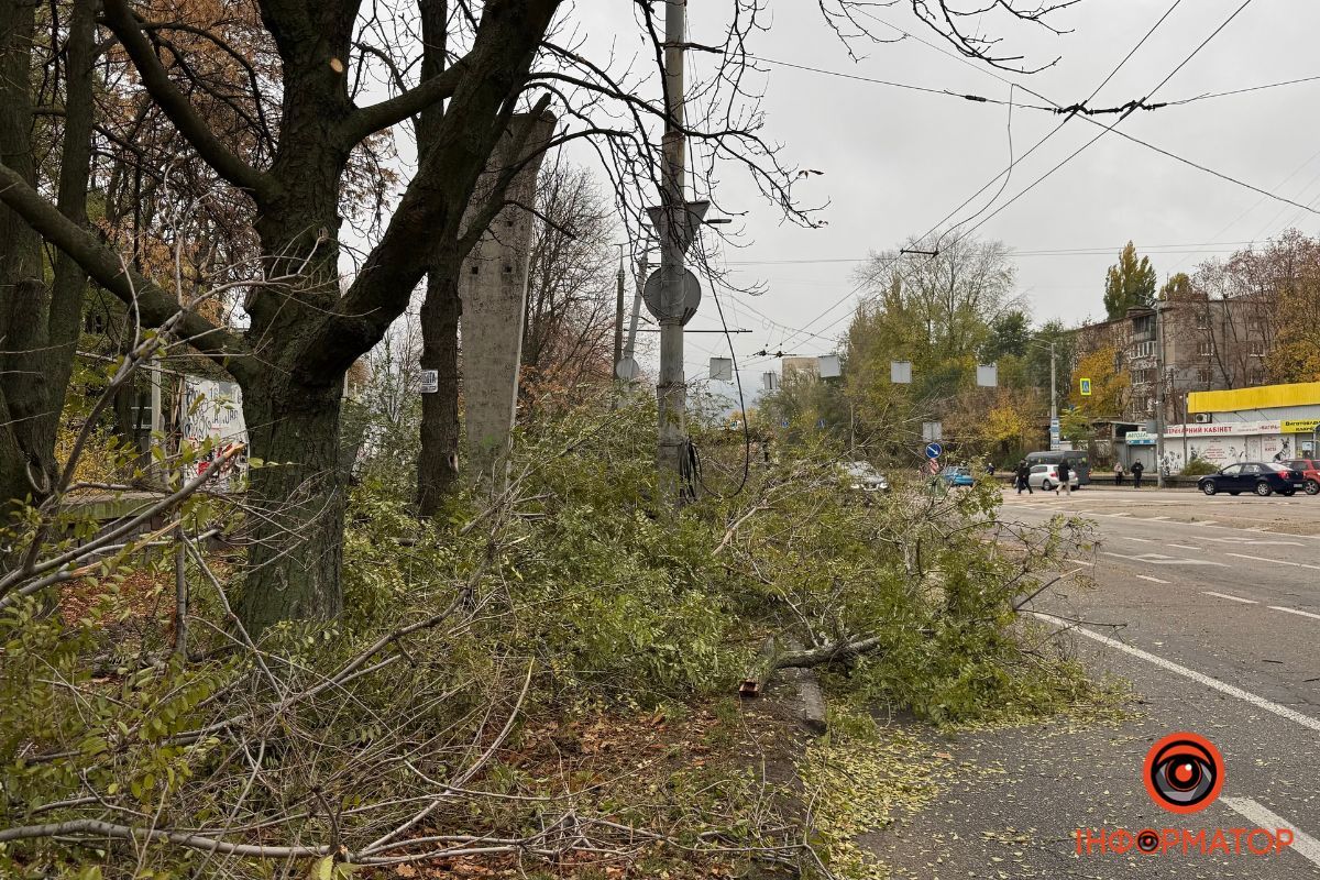 Гілки на дорозі Гілки на дорозі
