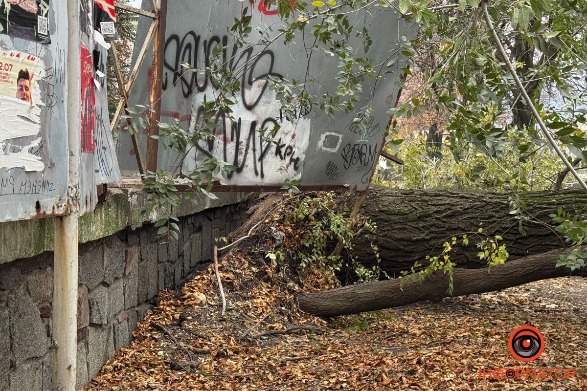 Водіям слід бути особливо обережними на цій ділянці Водіям слід бути особливо обережними на цій ділянці