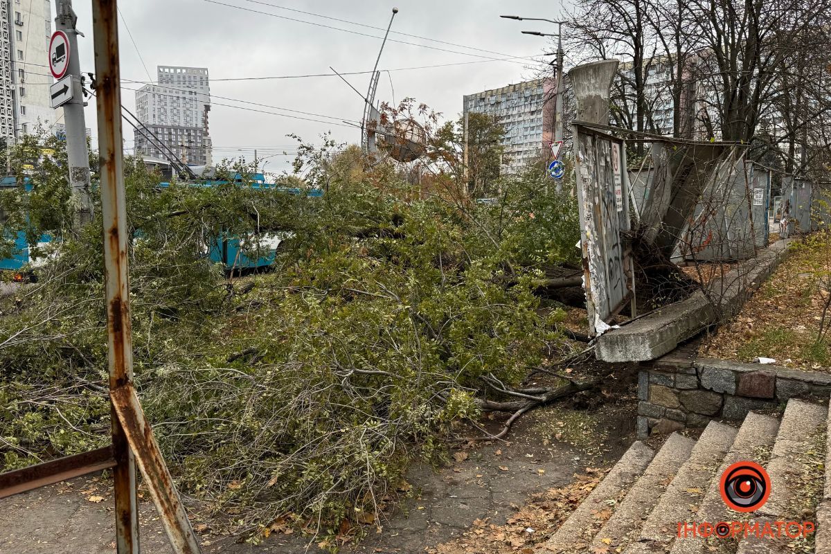 У п'ятницю, 31 жовтня, на Запорізькому шосе, в районі Космічного майдану, лежали гілки дерева У п'ятницю, 31 жовтня, на Запорізькому шосе, в районі Космічного майдану, лежали гілки дерева