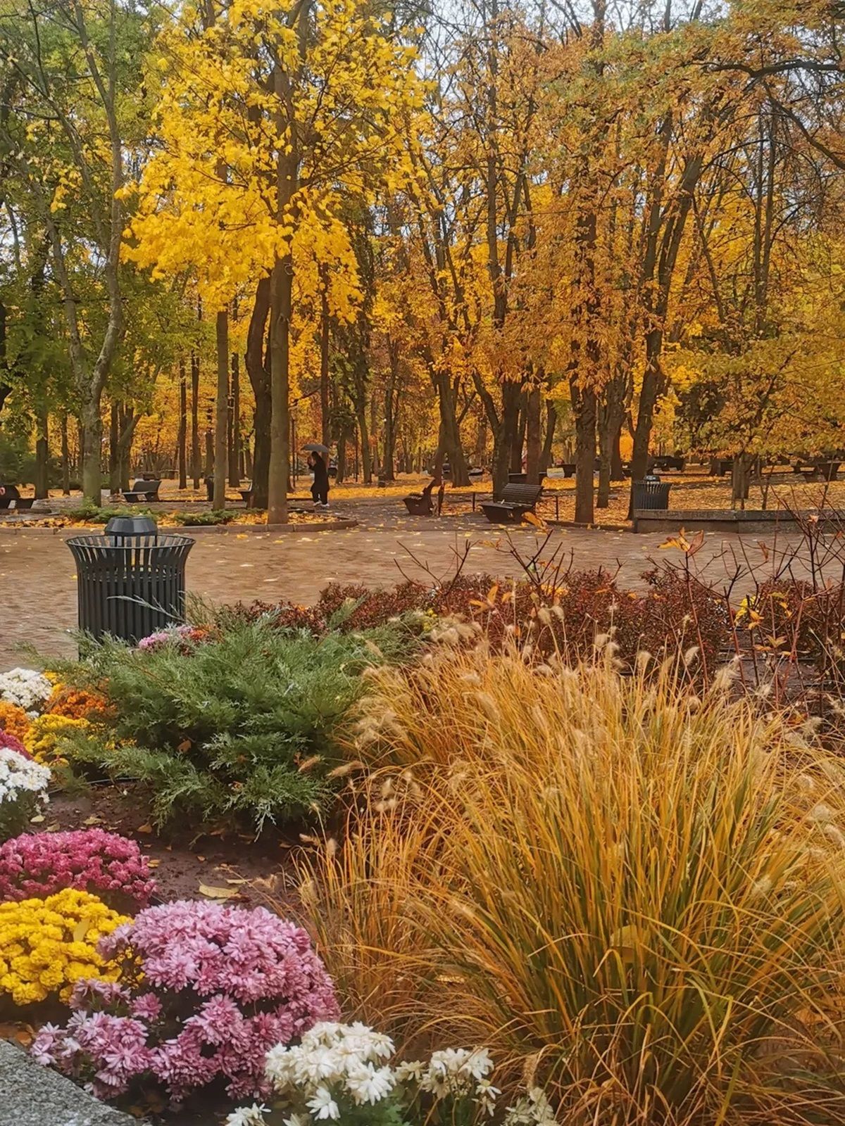 Осінній Дніпро у фокусі: найкращі кадри з Instagram 9