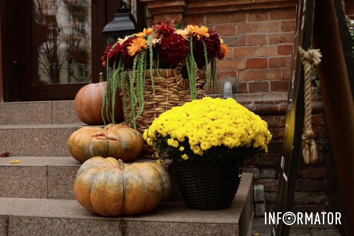 От скелетов к привидениям: Днепр удивляет фотозонами к Галовену 24