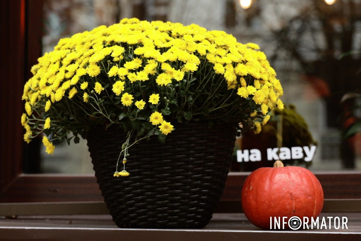 От скелетов к привидениям: Днепр удивляет фотозонами к Геловину 22