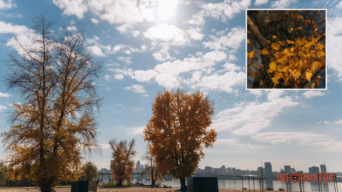 Погода на 2 листопада: у Дніпрі буде похмуро