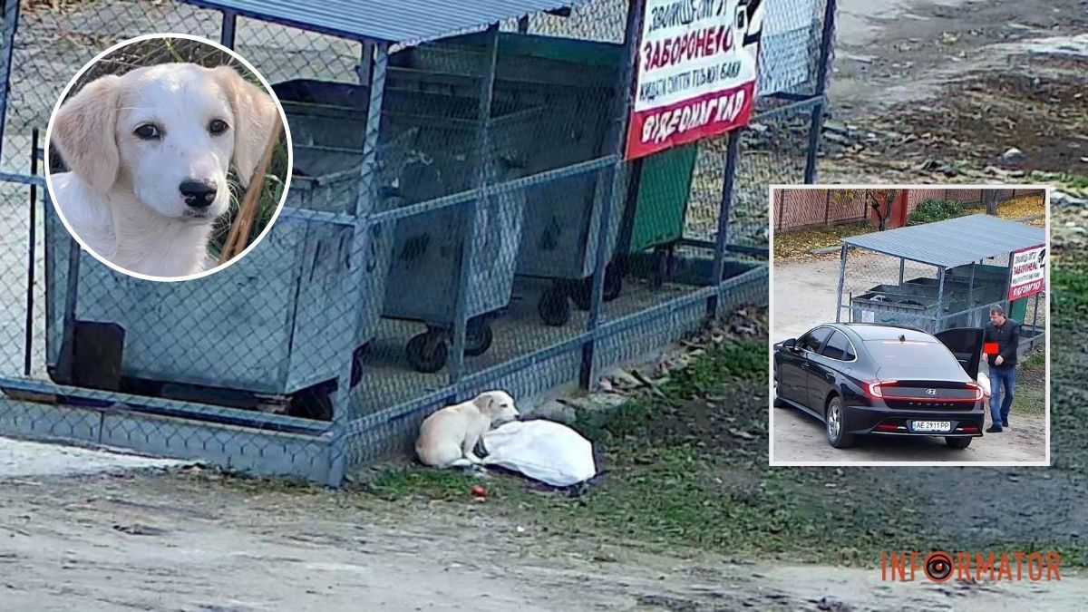 “Дуже налякана та гарчить”: у Дніпрі чоловік викинув цуценя у мішку на смітник