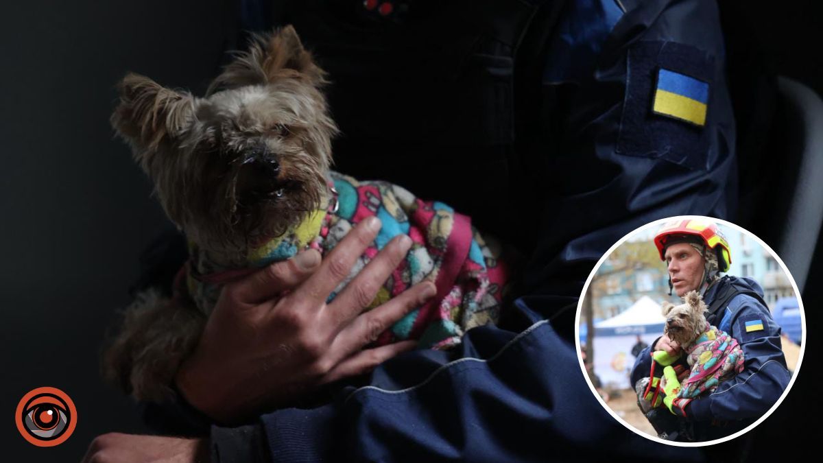 Після вибуху опинилася на другому поверсі: з-під завалів понівеченого будинку у Дніпрі дістали собаку Мішель
