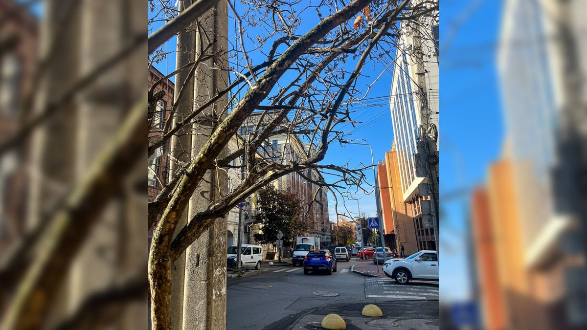 Якби у Дніпра був Instagram: топ красивих світлин міста