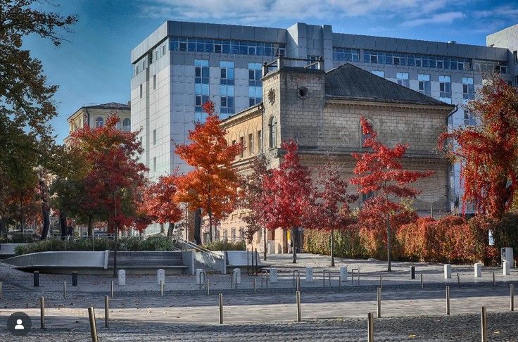 galetskaya_olga galetskaya_olga