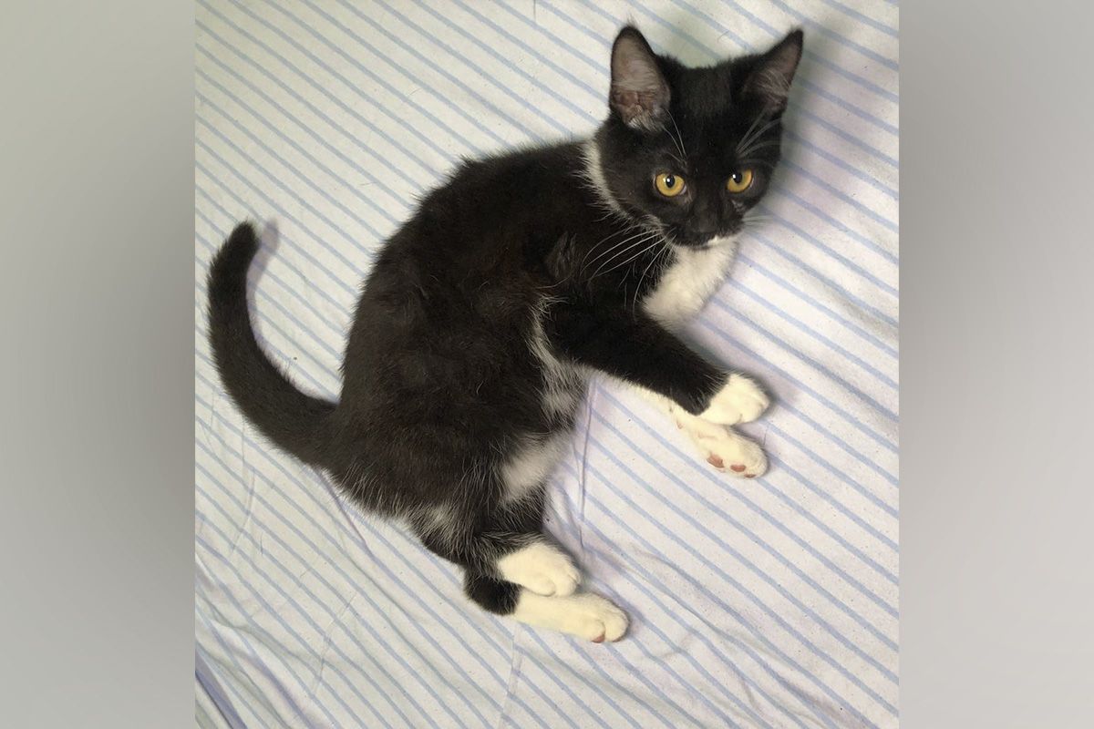 Марсі Марсі