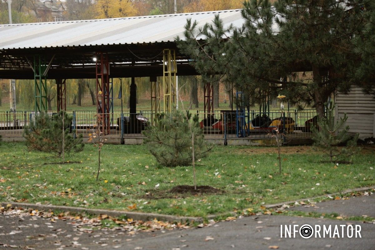 В парке Глобы в Днепре провели озеленение и высадили аллею сосен с рябиной.