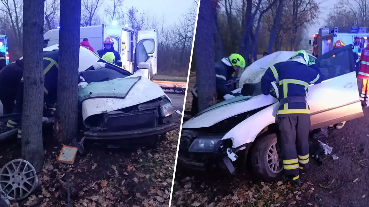 У Кривому Розі Volkswagen влетів в дерево: загинув чоловік, травмовану пасажирку довелося деблокувати з понівеченого авто