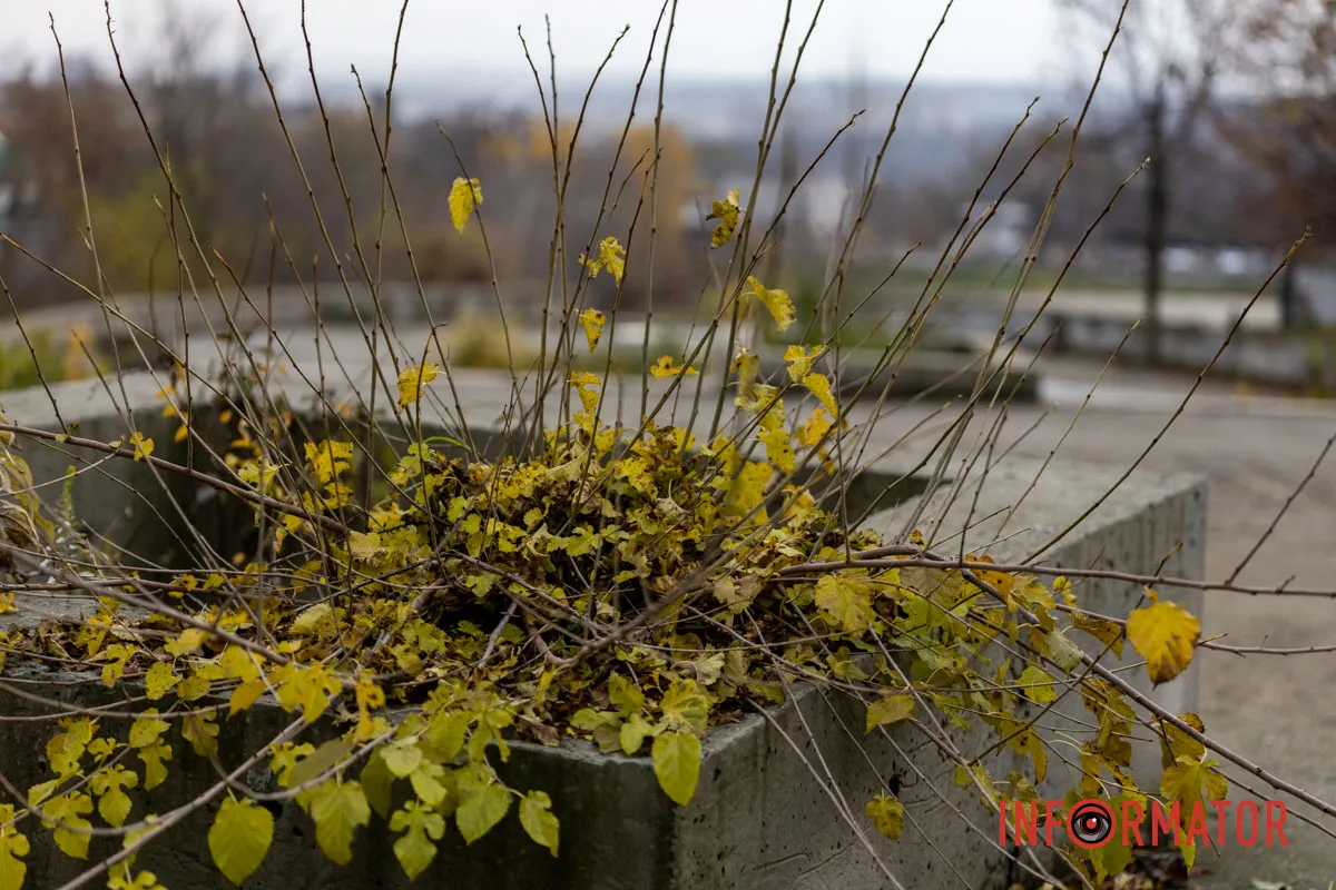83,5 мільйона на завершення реконструкції: як виглядає парк Володі Дубініна, куди вже витратили майже 50 мільйонів 19