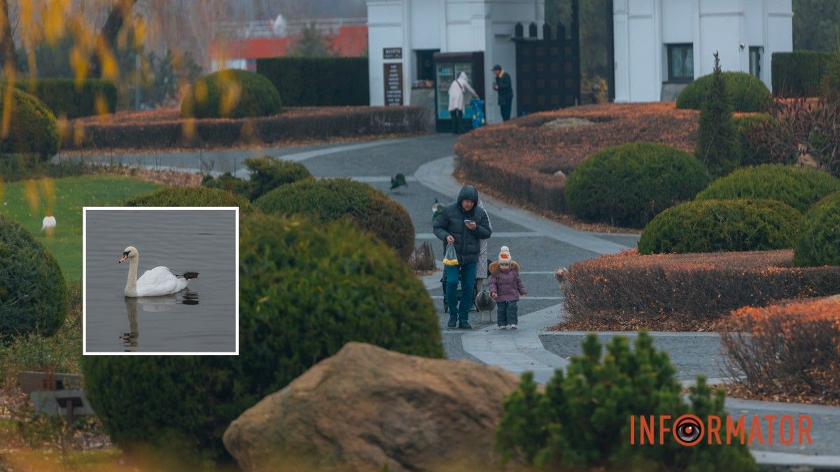 Погода на 16 ноября: в Днепре будет сильная облачность