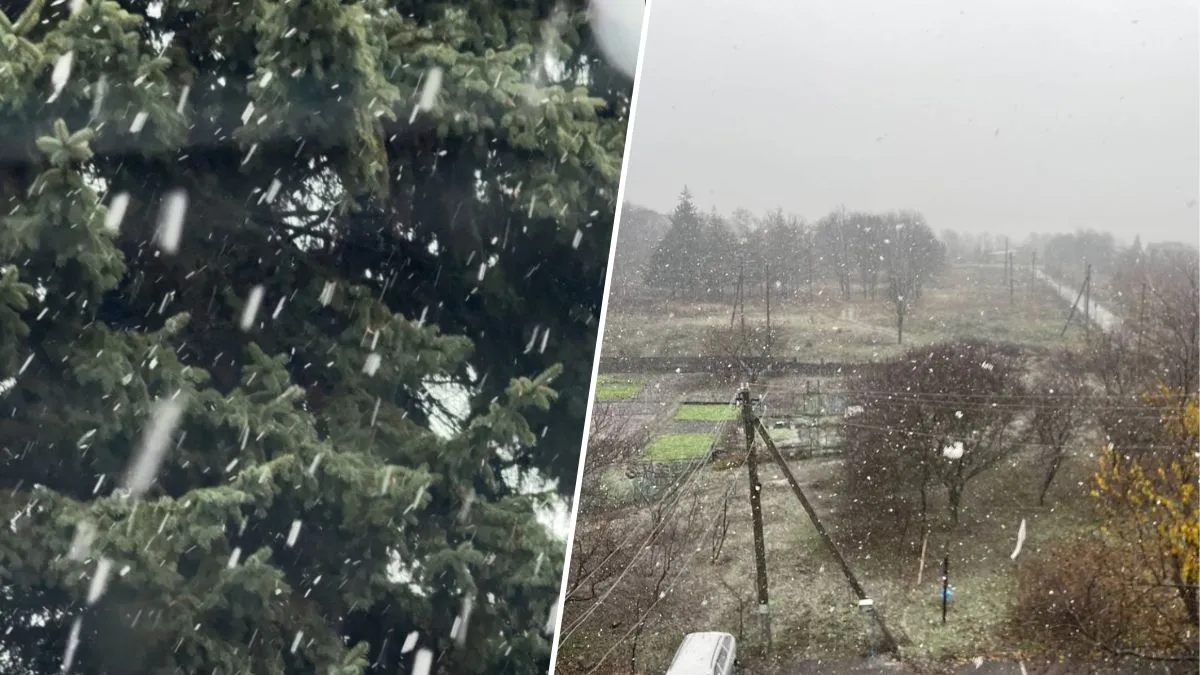 Зима близько: у Дніпрі та області випав перший сніг