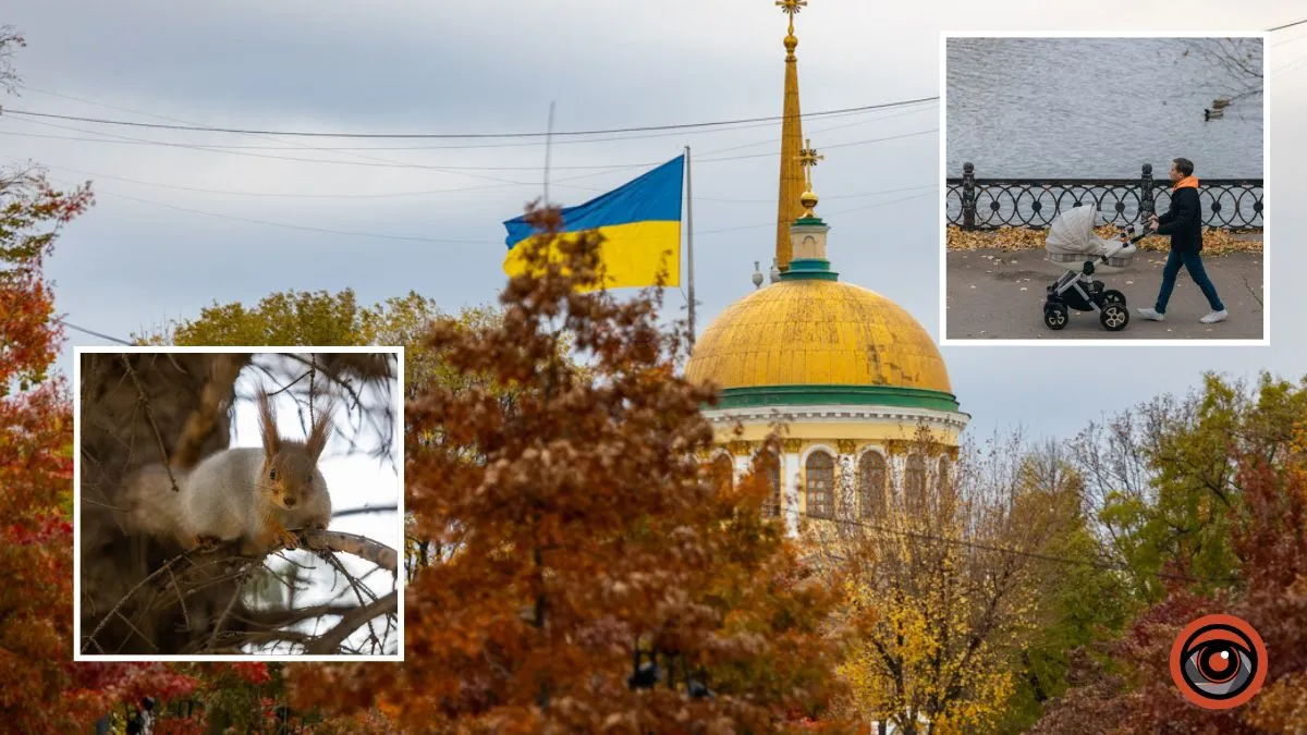 За день до первого снега: в Днепре зафиксировали новый температурный рекорд