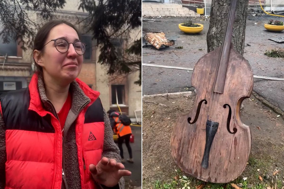 контрабас 6