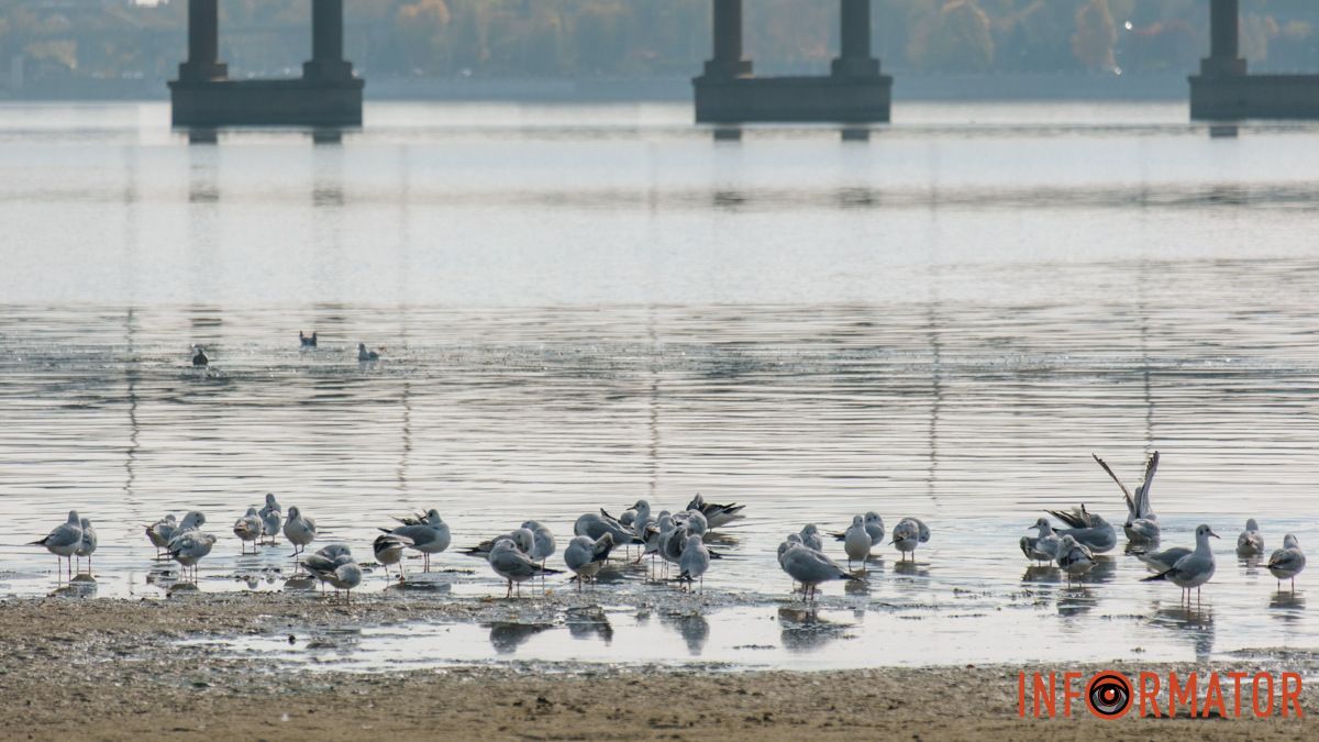 Погода на 22 ноября: в Днепре облачно с прояснениями