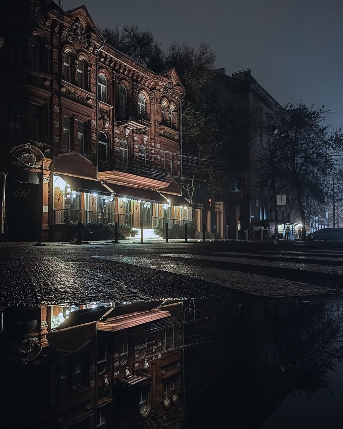 Фото: @hamster_dp_ua