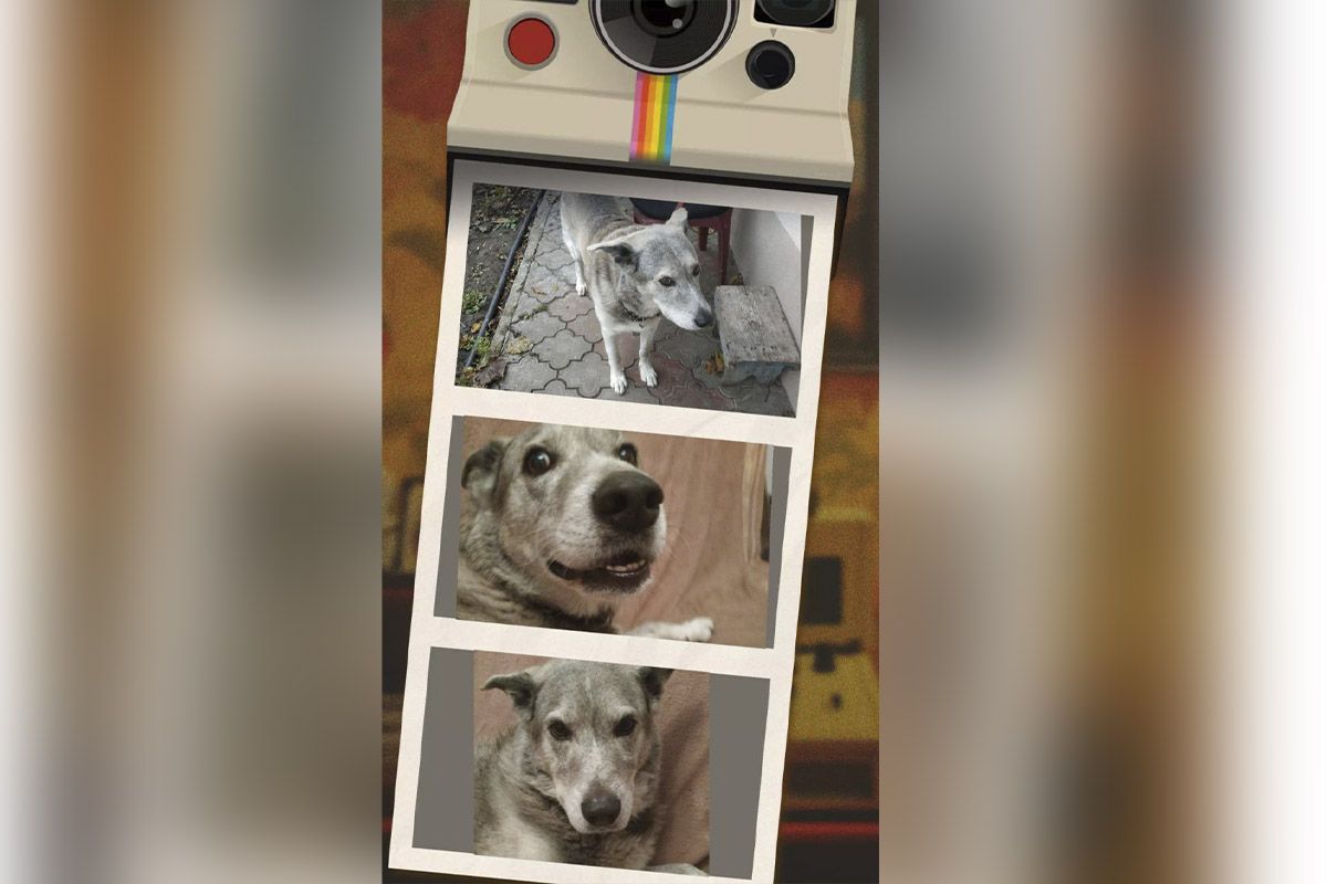 Лютий Лютий