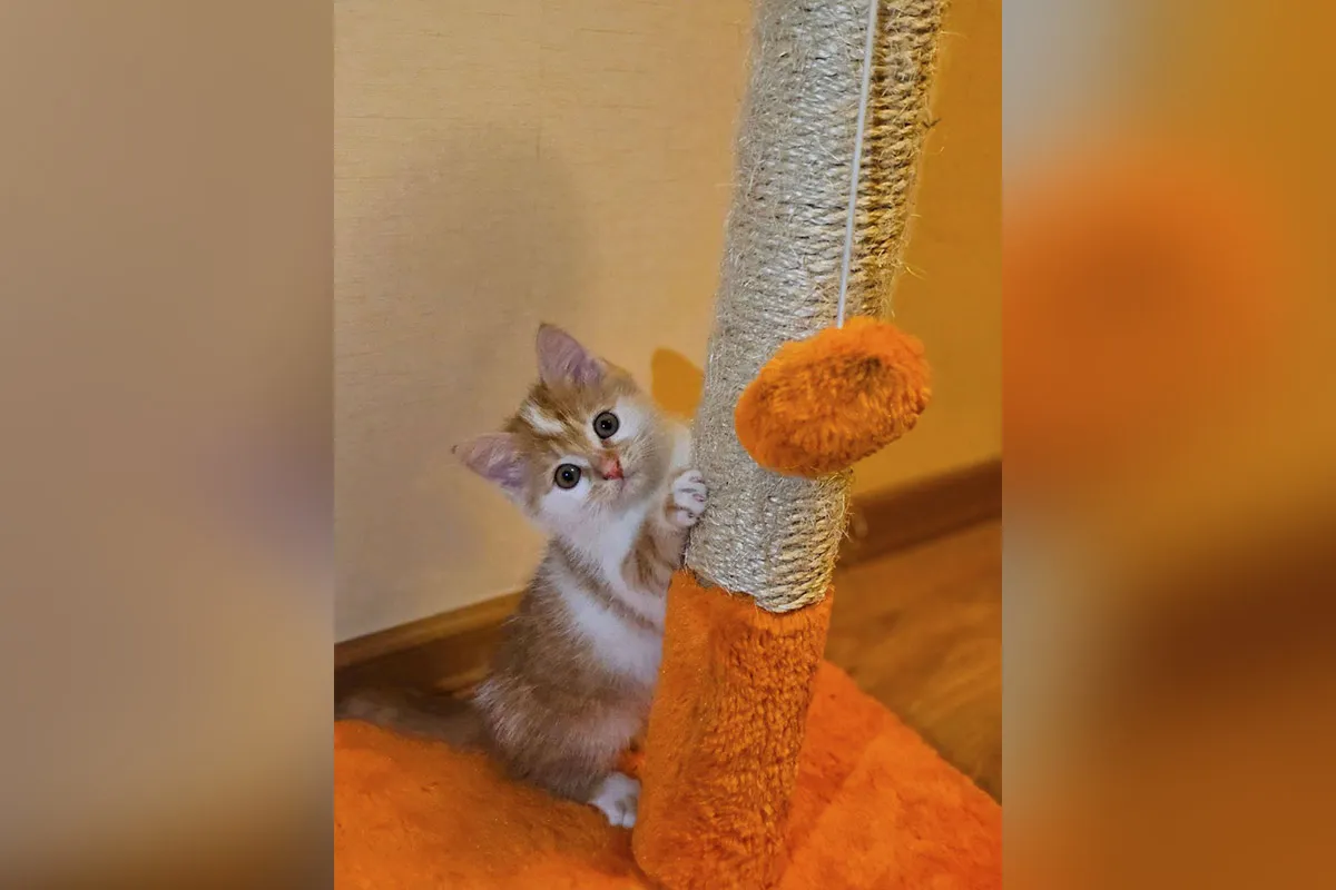 Усі вони різного віку та характеру, але кожен особливий Усі вони різного віку та характеру, але кожен особливий