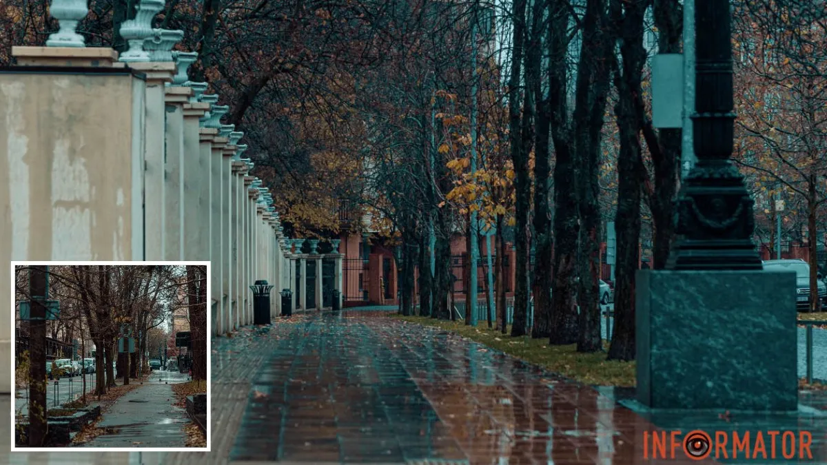 Погода на 24 листопада: у Дніпрі дощитиме