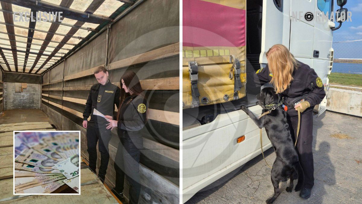 У Дніпропетровській області митниця за 10 місяців спрямувала до держбюджету майже 15 мільярдів гривень