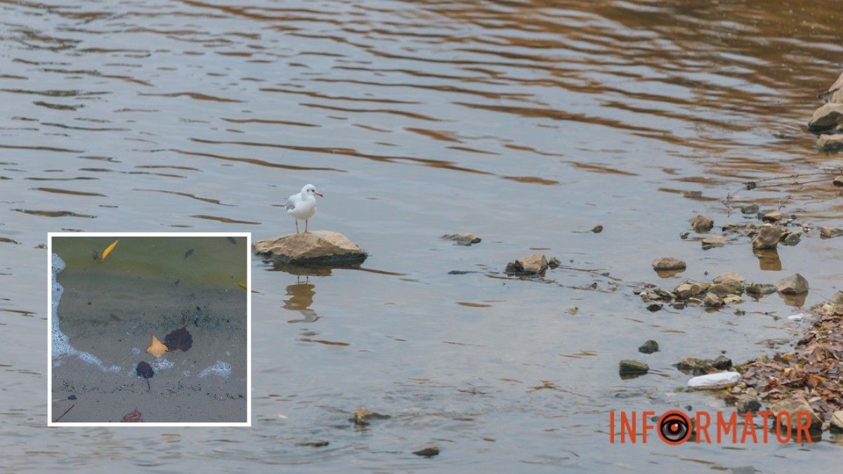 Востаннє так тепло було 102 роки тому: у Дніпрі зафіксували температурний рекорд
