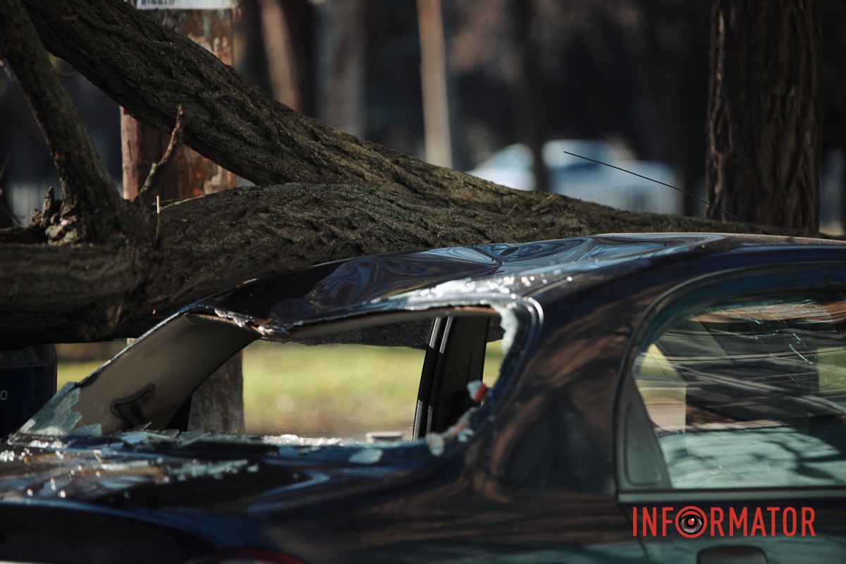 У Дніпрі на Лесі Українки Daewoo Lanos після зіткнення з фурою Iveco зніс дерево 9