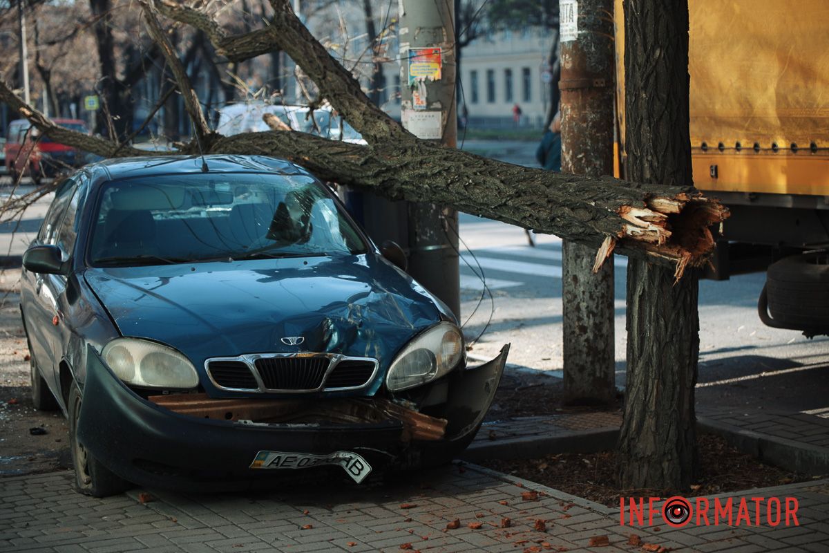 У Дніпрі на Лесі Українки Daewoo Lanos після зіткнення з фурою Iveco зніс дерево 14