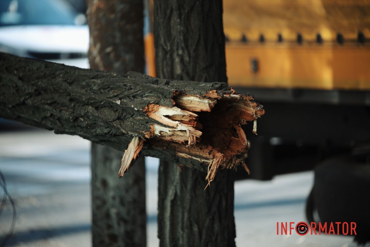 У Дніпрі на Лесі Українки Daewoo Lanos після зіткнення з фурою Iveco зніс дерево 11