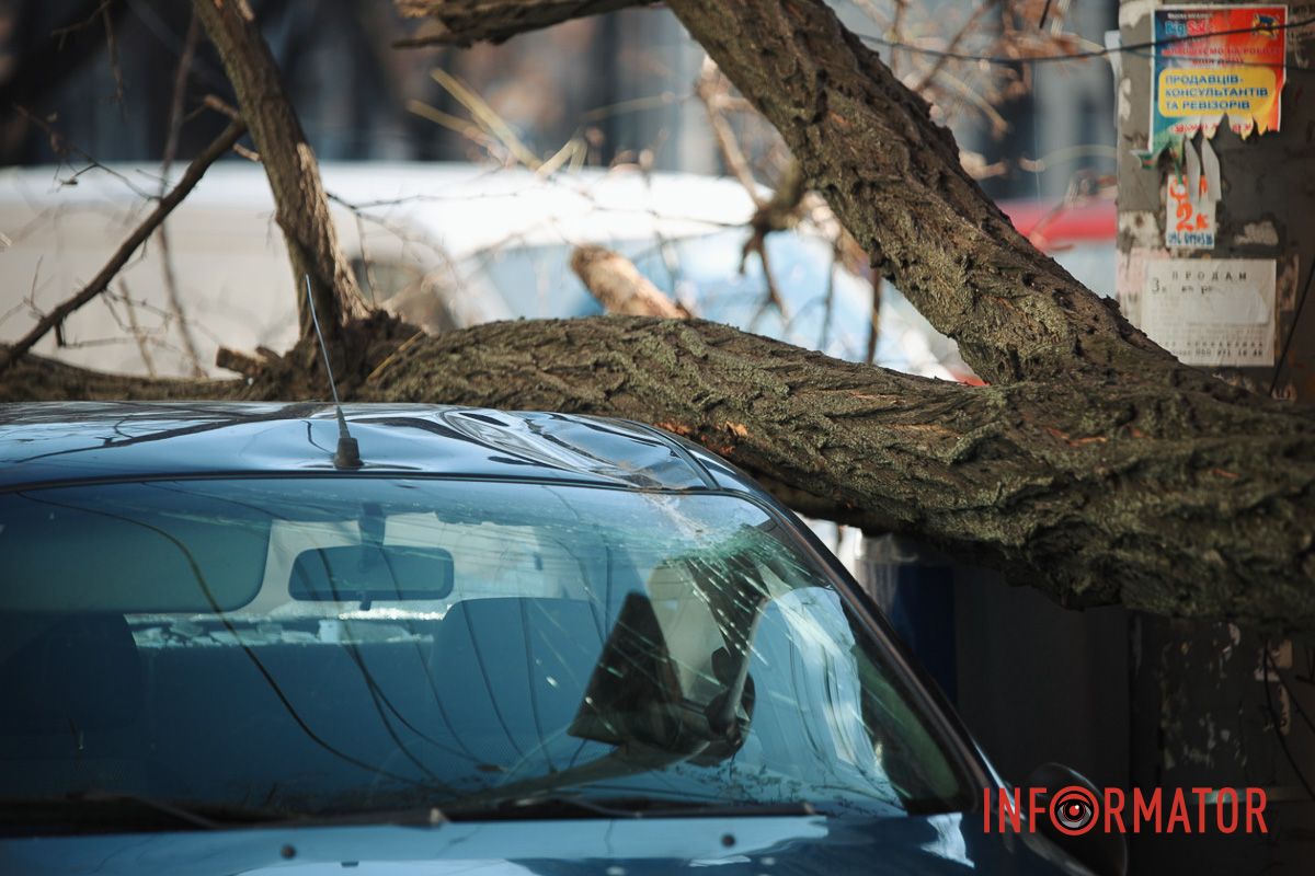 У Дніпрі на Лесі Українки Daewoo Lanos після зіткнення з фурою Iveco зніс дерево 8