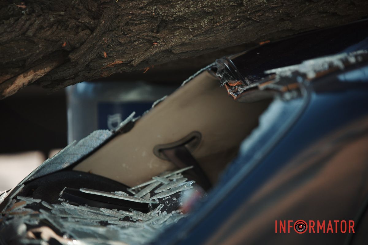 У Дніпрі на Лесі Українки Daewoo Lanos після зіткнення з фурою Iveco зніс дерево 12