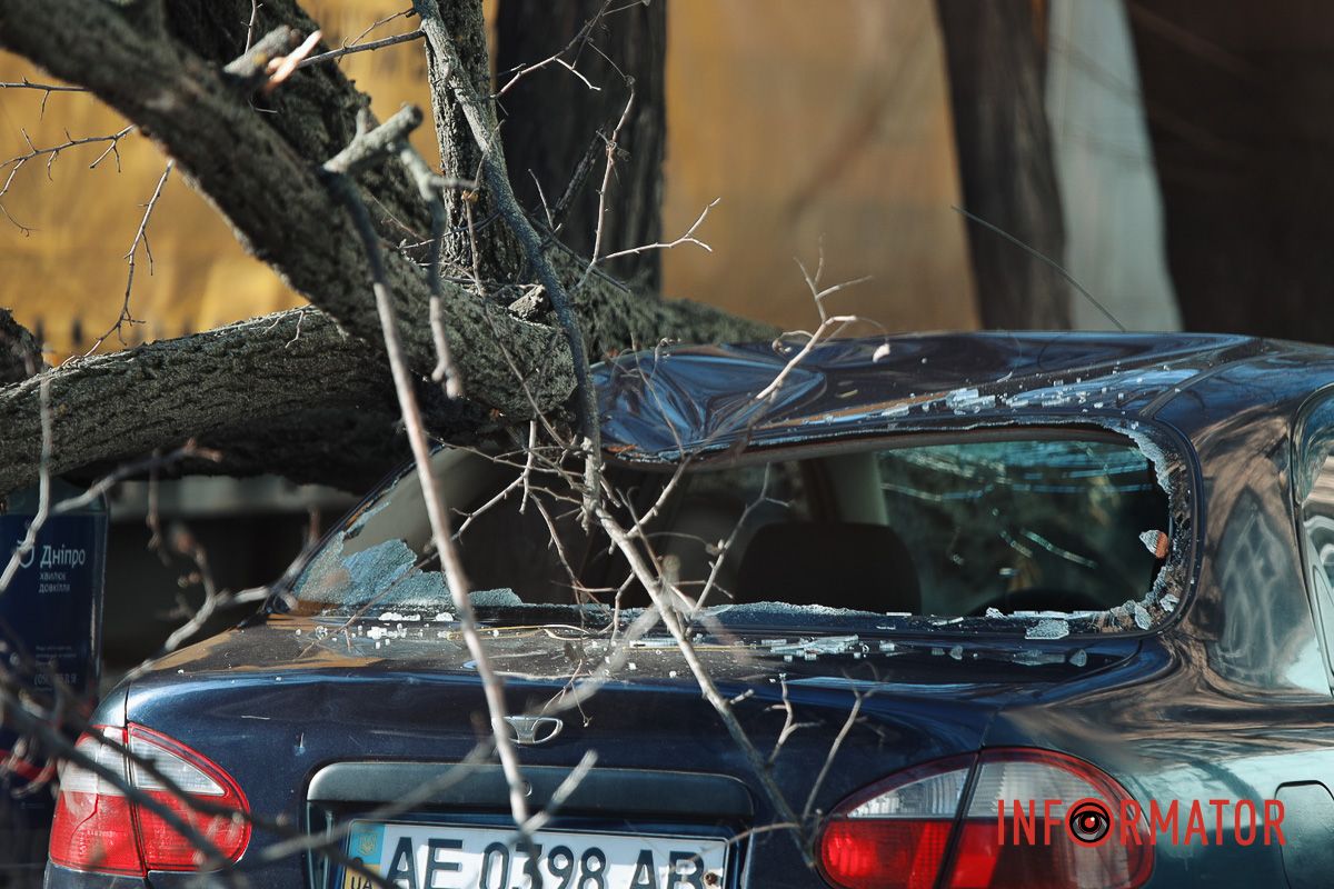 У Дніпрі на Лесі Українки Daewoo Lanos після зіткнення з фурою Iveco зніс дерево 10