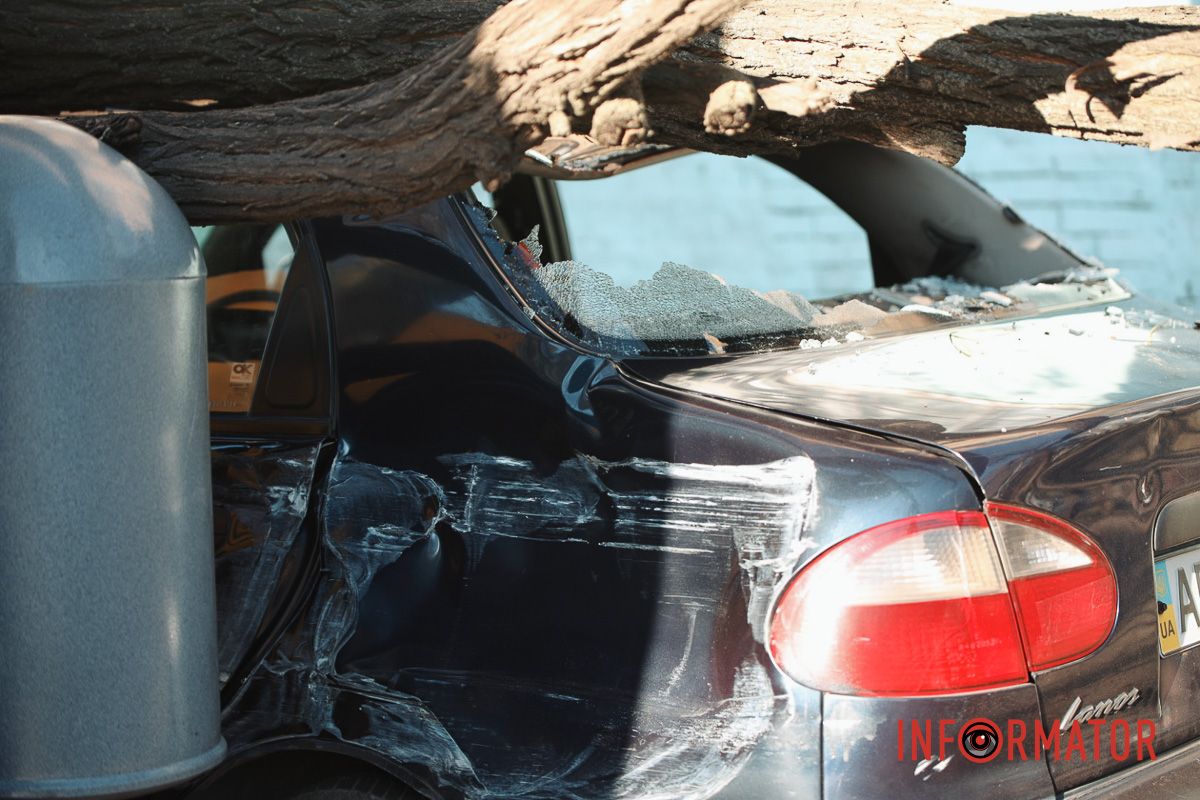 У Дніпрі на Лесі Українки Daewoo Lanos після зіткнення з фурою Iveco зніс дерево 7