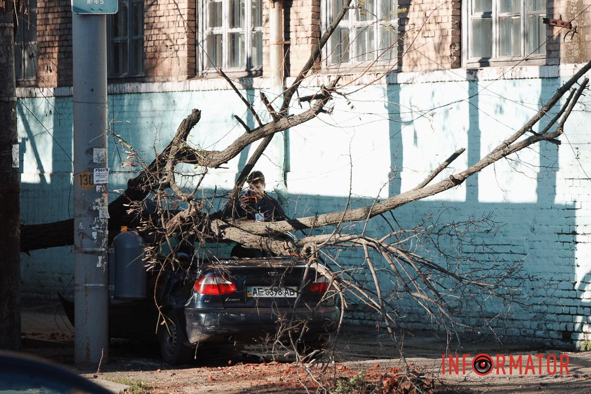У Дніпрі на Лесі Українки Daewoo Lanos після зіткнення з фурою Iveco зніс дерево 6