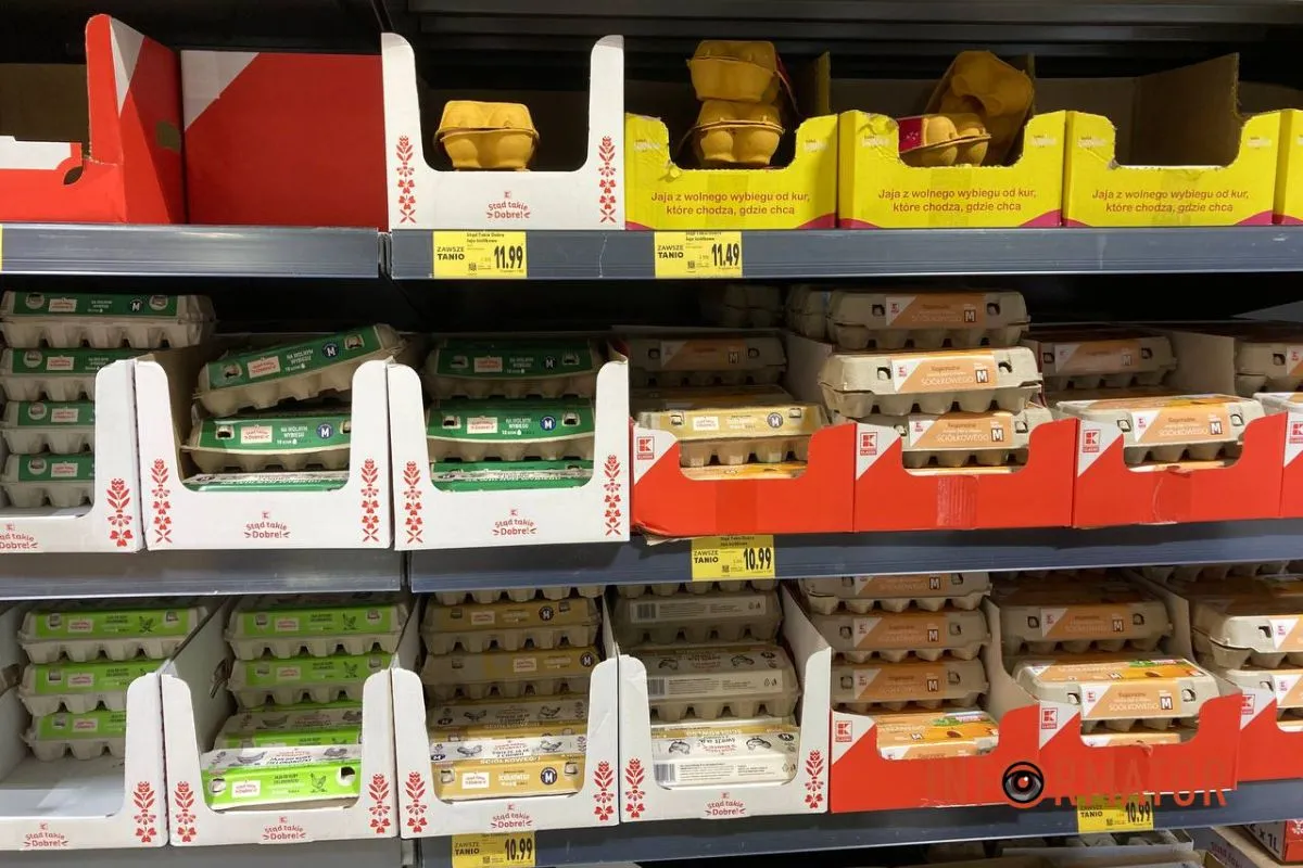 Сколько стоят яйца в польском магазине Украинцы вынуждены экономить на еде: насколько отличается стоимость продуктов в Днепре и Польше