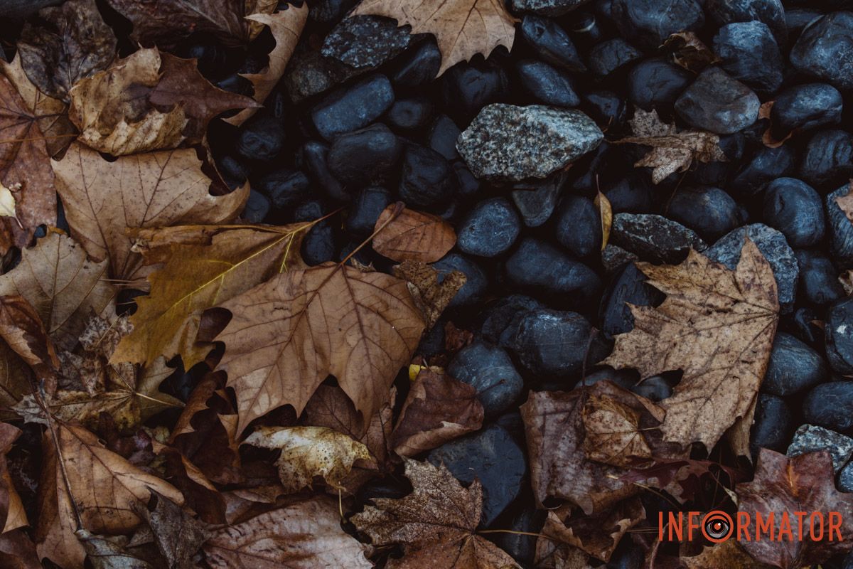 Місто, що сховалось: як туман змінив знайомі краєвиди Дніпра 10