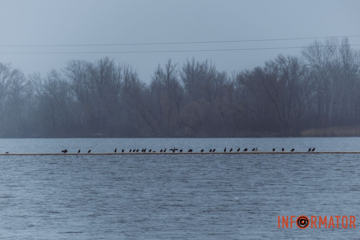 Місто, що сховалось: як туман змінив знайомі краєвиди Дніпра 31