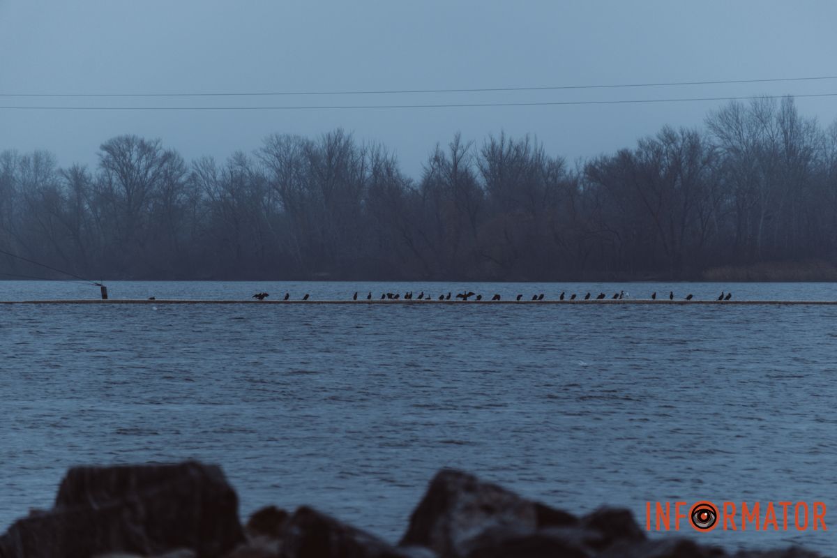 Атмосфера магії в природі
